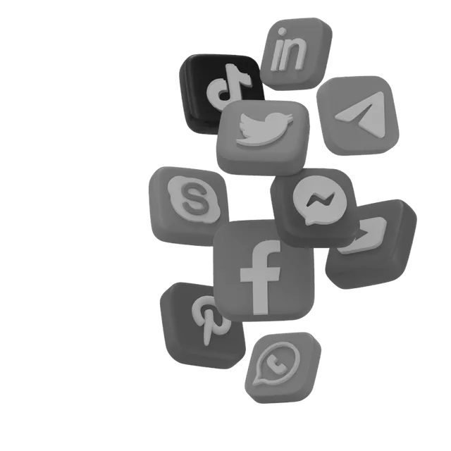 Social Networking